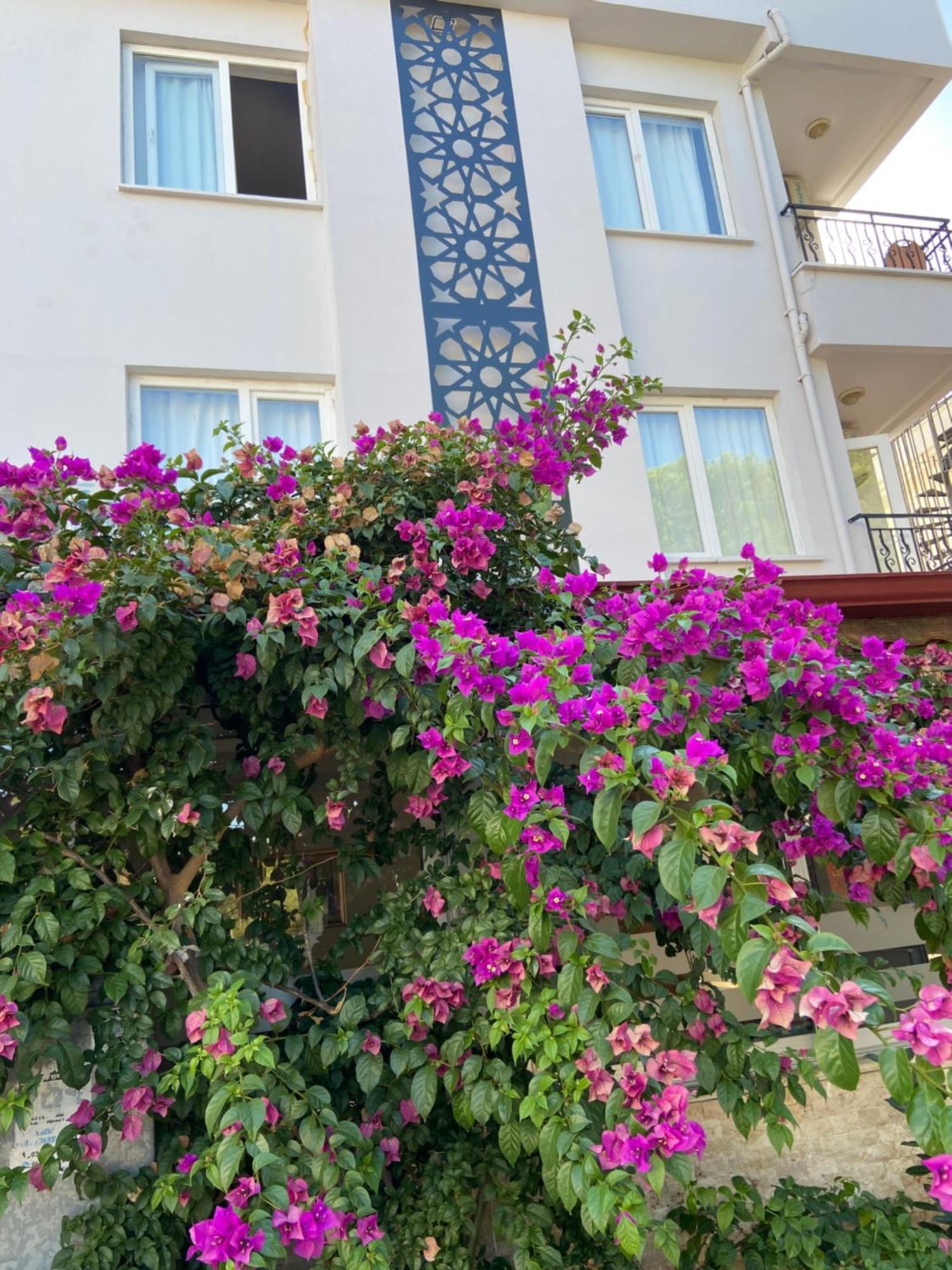 Serenity Suites Hotel 안탈리아 외부 사진